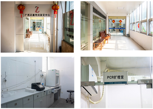 广西司法鉴定 广西司法鉴定